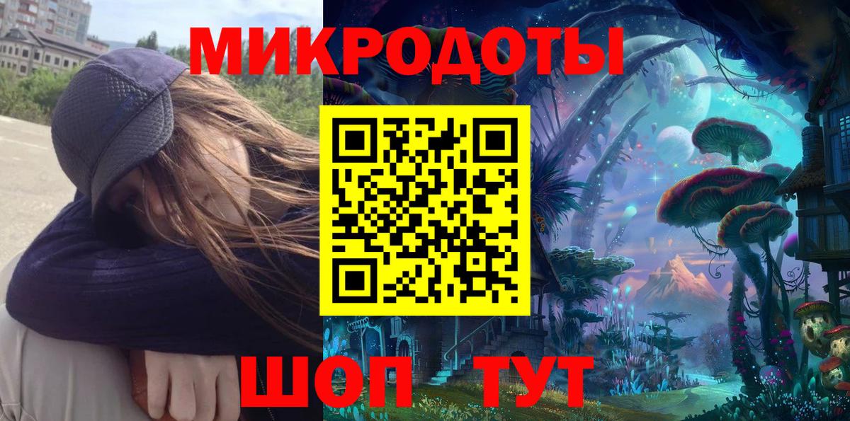 Галлюциногенные грибы Psilocybe Гатчина
