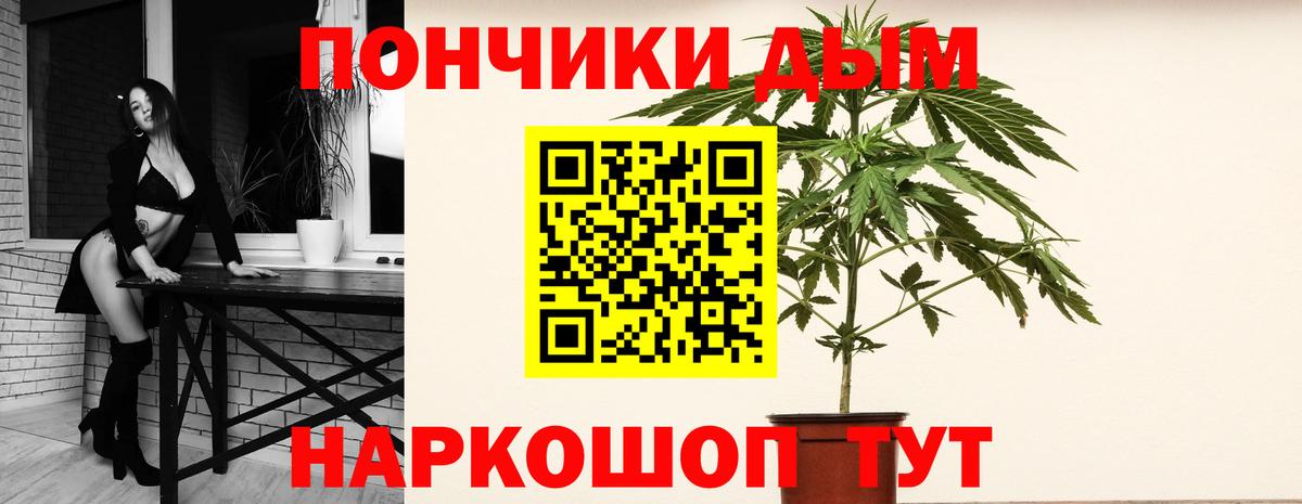 Канабис конопля Гатчина